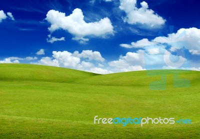 Grass And Sky With Cloud Stock Photo