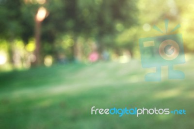 Grass And Trees With Blurred Background Stock Photo