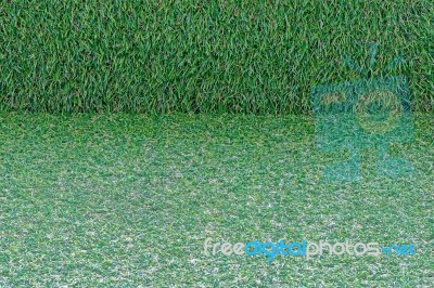 Grass Background Stock Photo