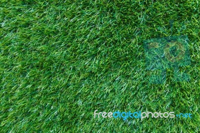 Grass Background Stock Photo