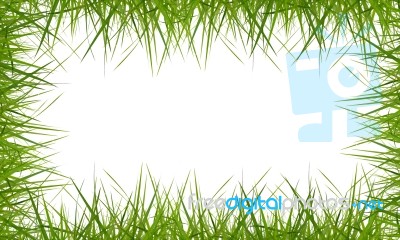 Grass Frame Stock Image