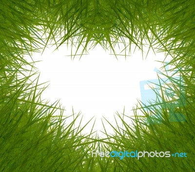 Grass Frame Stock Photo