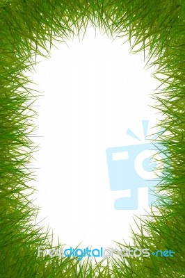 Grass Frame Stock Photo