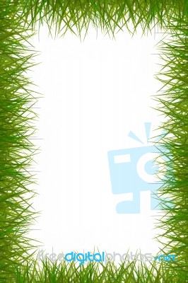 Grass Frame Stock Photo