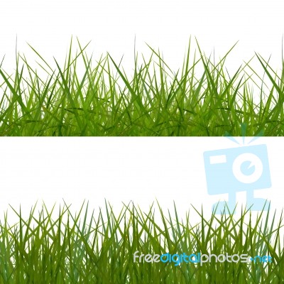 Grass Frame Stock Image