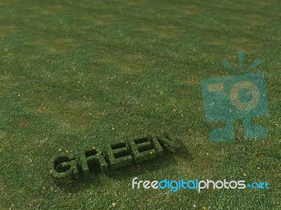 Grass Green Stock Photo