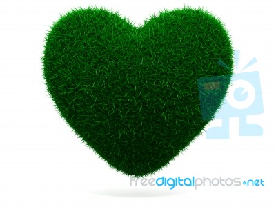 Grass Heart Stock Image