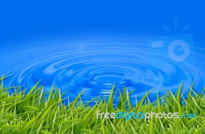 Grass In Blue Water Stock Image