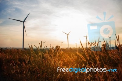 Grass In Wind Turbine Farm Stock Photo