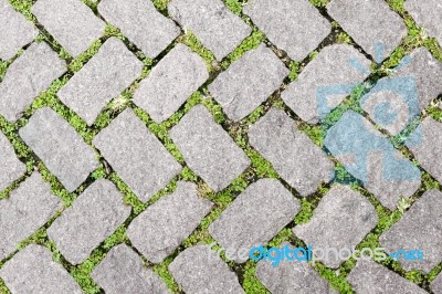 Grass Stone Floor Texture Pavement Design Stock Photo