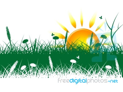 Grass Sun Represents Grassy Summer And Outdoor Stock Image