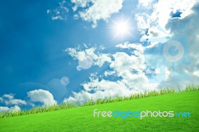 Grass With Blue Sky Stock Photo