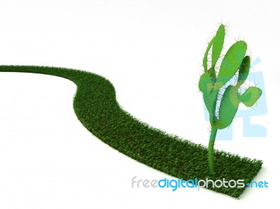 Grass With Cacti Stock Photo