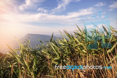 Grass With Mountains In The Winter Stock Photo