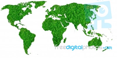 Grass World Map  Stock Image