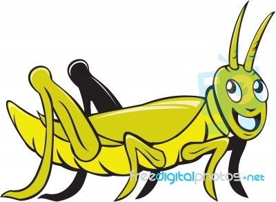 Grasshopper Crawling Side Cartoon Stock Image