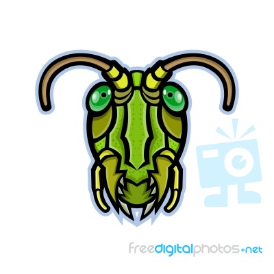 Grasshopper Head Mascot Stock Image