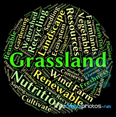 Grassland Word Means Grasslands Grassy And Field Stock Image