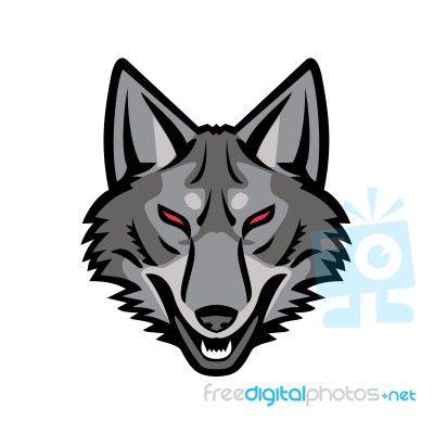 Gray Coyote Head Mascot Stock Image