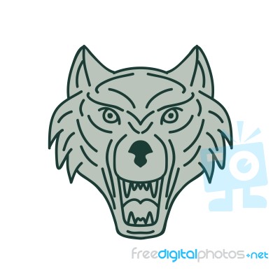 Gray Wolf Head Mono Line Stock Image