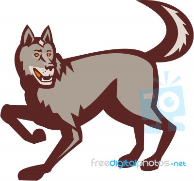 Gray Wolf Side View Retro Stock Image