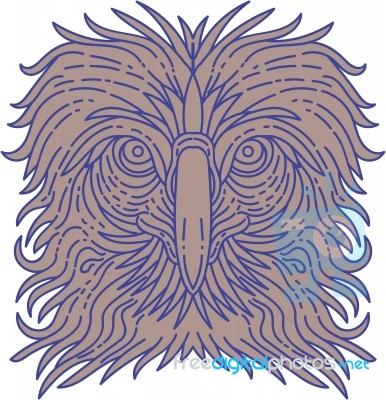 Great Philippine Eagle Head Mono Line Stock Image