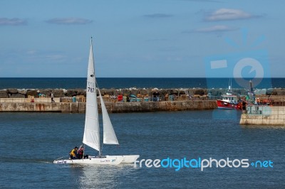 Great White Catamaran Sailing In Staithes Harbour Stock Photo