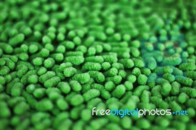 Green Abstract Stock Photo