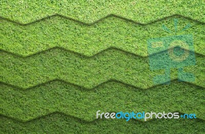 Green Background Stock Photo