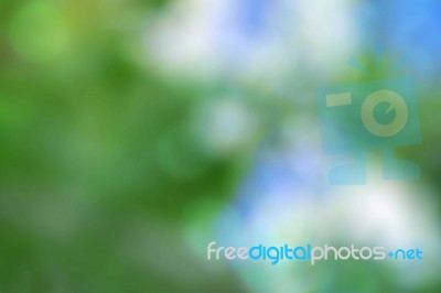 Green Background With Blurred Images Stock Photo