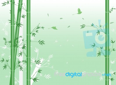 Green Bamboo Stock Image