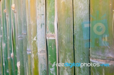 Green Bamboo Fence Texture Background Stock Photo