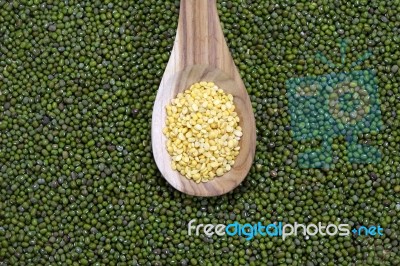 Green Bean Stock Photo