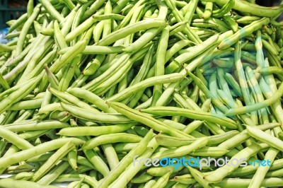 Green Beans Phaseolus Vulgaris L Stock Photo