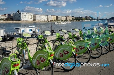 Green Bicycles Available For Hire In Budapest Stock Photo