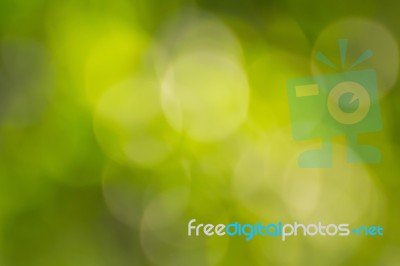 Green Bokeh Abstract Stock Photo