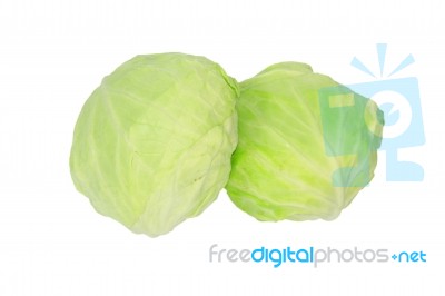 Green Cabbage Stock Photo