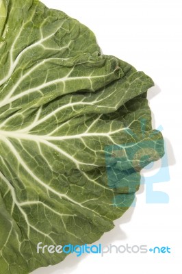 Green Cabbage Leaf Stock Photo