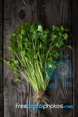 Green Celery With Roots On A Wooden Table Stock Photo