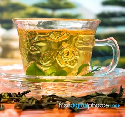 Green China Tea Represents Drinking Beverage And Refreshing Stock Photo