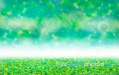 Green Clover And Yellow Blossom Under Blurred Bokeh Abstract Fro… Stock Photo