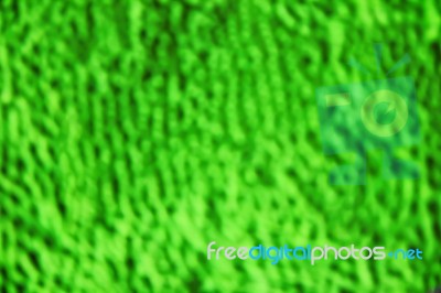 Green Color Scene Stock Photo