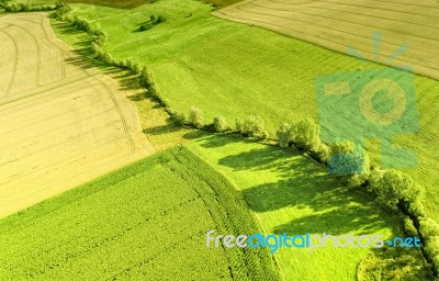 Green Countryside Stock Photo