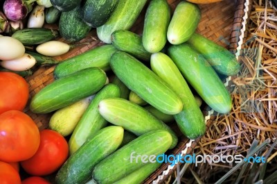 Green Cucumber Stock Photo