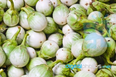 Green Eggplant Stock Photo