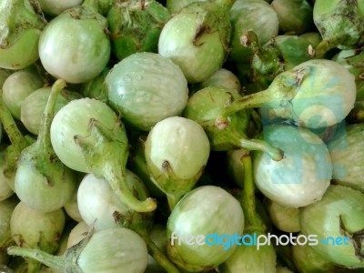 Green Eggplant Stock Photo