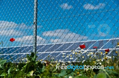 Green Energy Stock Photo