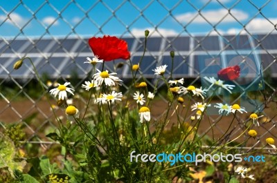 Green Energy Stock Photo