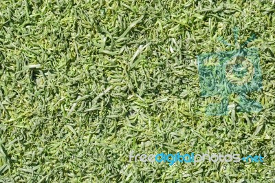 Green Fake Grass Background Stock Photo