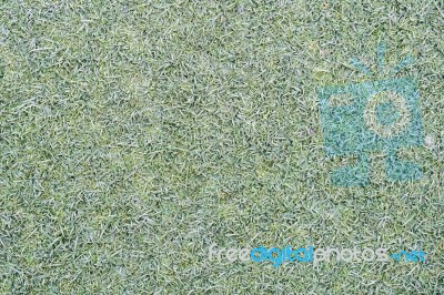 Green Fake Grass Background Stock Photo